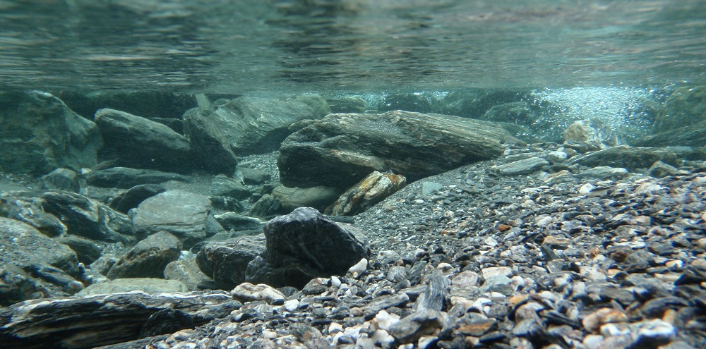 Kanki%20Pet%20KP10552031%20Akvaryum%20Arka%20Fon%20Yapıştırma%20105%20x%2052%20CM