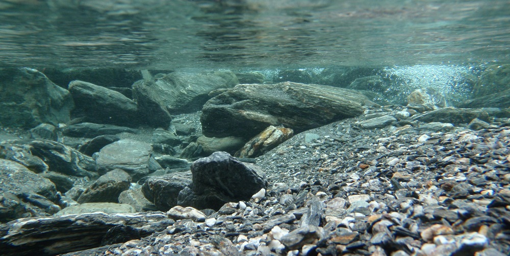Kanki%20Pet%20KP1256331%20Akvaryum%20Arka%20Fon%20Yapıştırma%20125%20x%2063%20CM
