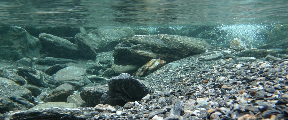 Kanki%20Pet%20KP1556531%20Akvaryum%20Arka%20Fon%20Yapıştırma%20155%20x%2065%20CM