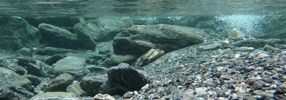 Kanki%20Pet%20KP18565031%20Akvaryum%20Arka%20Fon%20Yapıştırma%20185%20x%2065%20CM