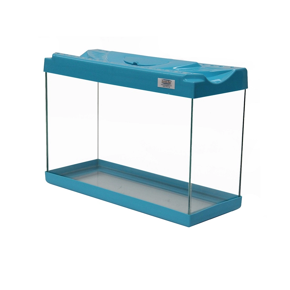 Kanki%20Pet%20KP5018%20Ekonomik%20Hazır%20Set%20Turkuaz%2050%20CM