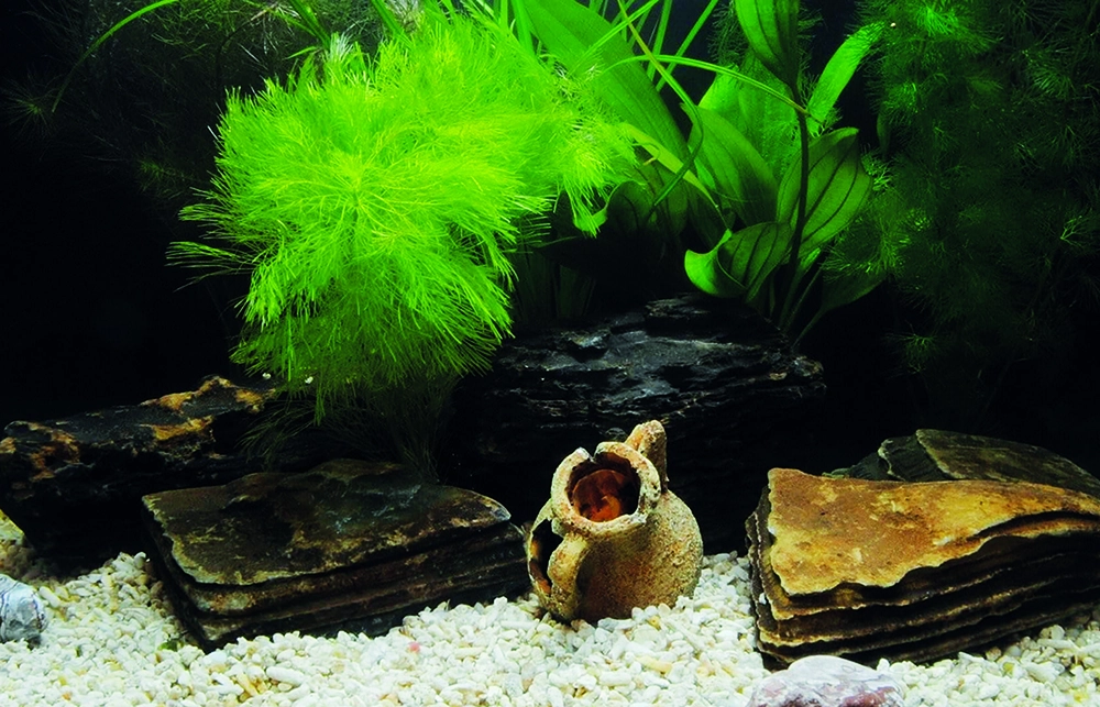 Kanki%20Pet%20KP7045033%20Akvaryum%20Arka%20Fon%20Yapıştırma%2070%20x%2045%20CM