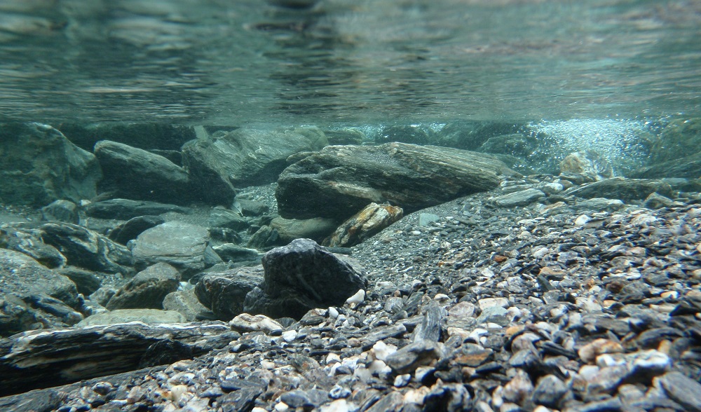 Kanki%20Pet%20KP8550031%20Akvaryum%20Arka%20Fon%20Yapıştırma%2085%20x%2050%20CM