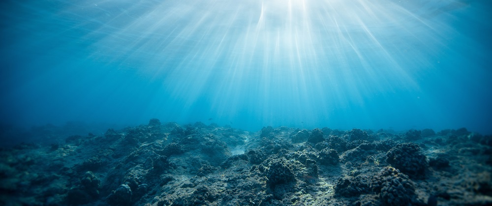 Kanki%20Pet%20KP1556516%20Akvaryum%20Arka%20Fon%20Yapıştırma%20155%20x%2065%20CM
