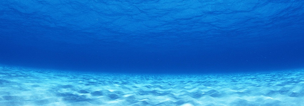 Kanki%20Pet%20KP18565003%20Akvaryum%20Arka%20Fon%20Yapıştırma%20185%20x%2065%20CM