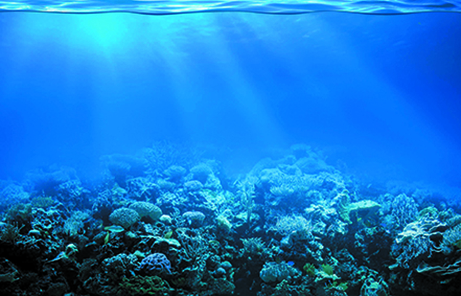 Kanki%20Pet%20KP7045022%20Akvaryum%20Arka%20Fon%20Yapıştırma%20%2070%20x%2045%20cm