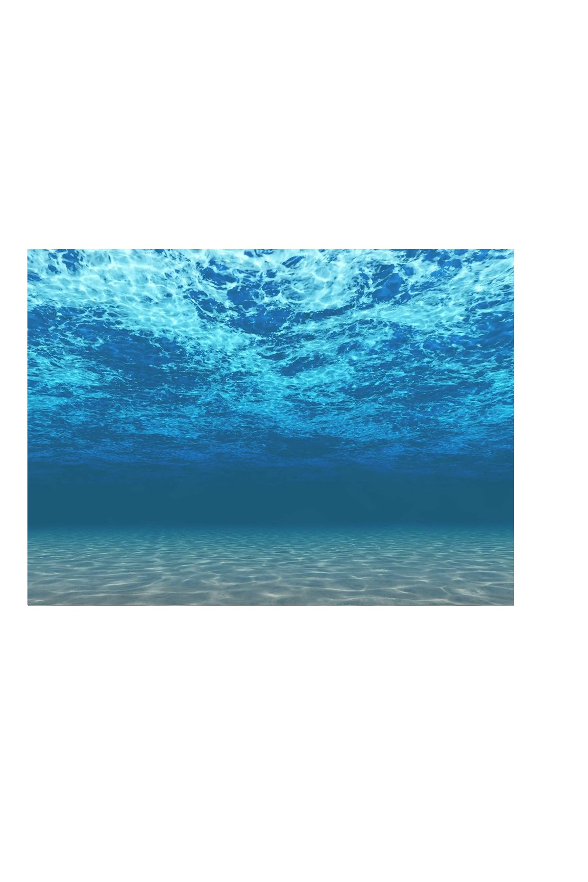 Kanki%20Pet%20KP8550008%20Akvaryum%20Arka%20Fon%20Yapıştırma%2085%20x%2050%20CM