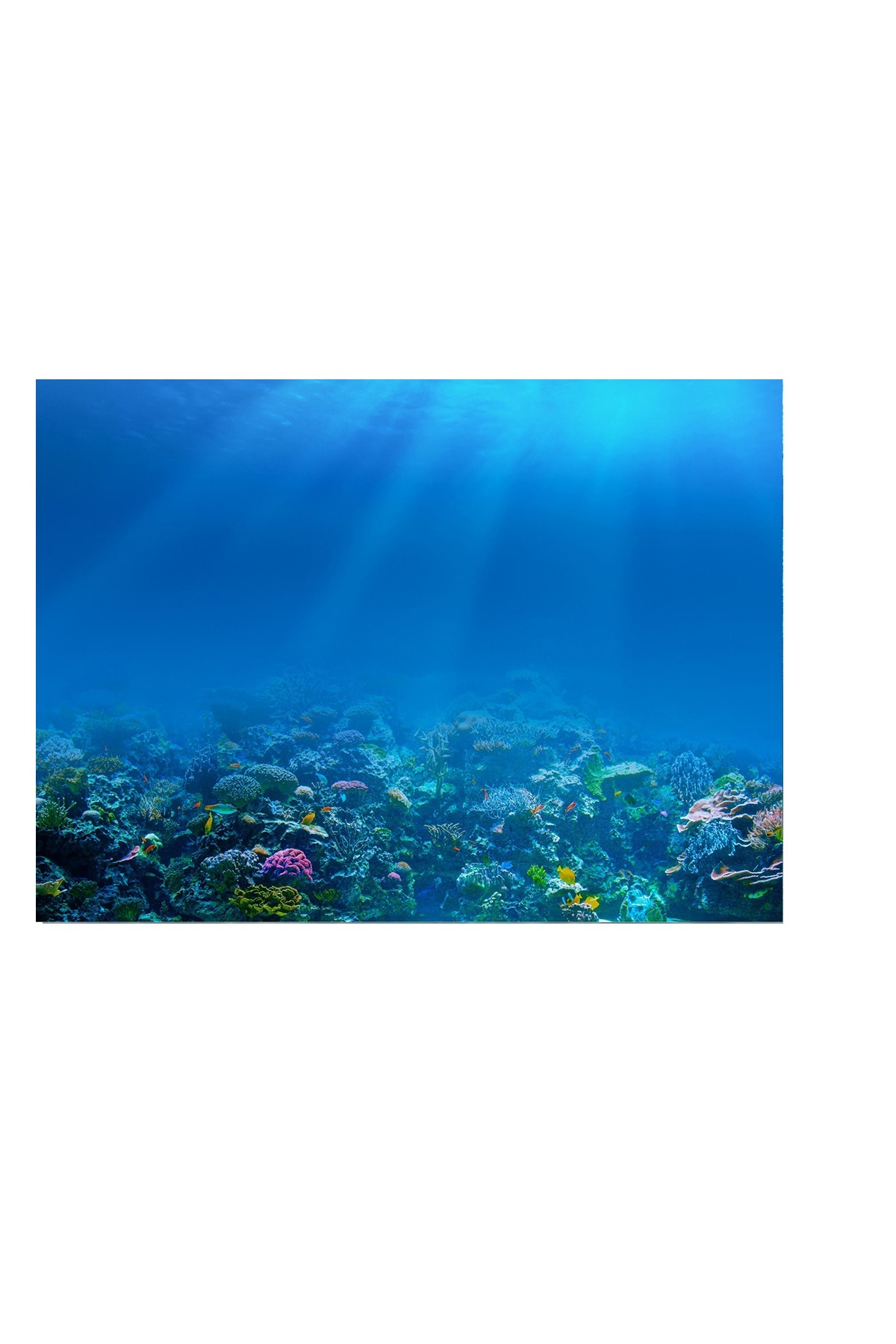 Kanki%20Pet%20KP8550009%20Akvaryum%20Arka%20Fon%20Yapıştırma%2085%20x%2050%20CM