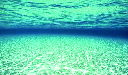 Kanki%20Pet%20KP8550028%20Akvaryum%20Arka%20Fon%20Yapıştırma%2085%20x%2050%20CM