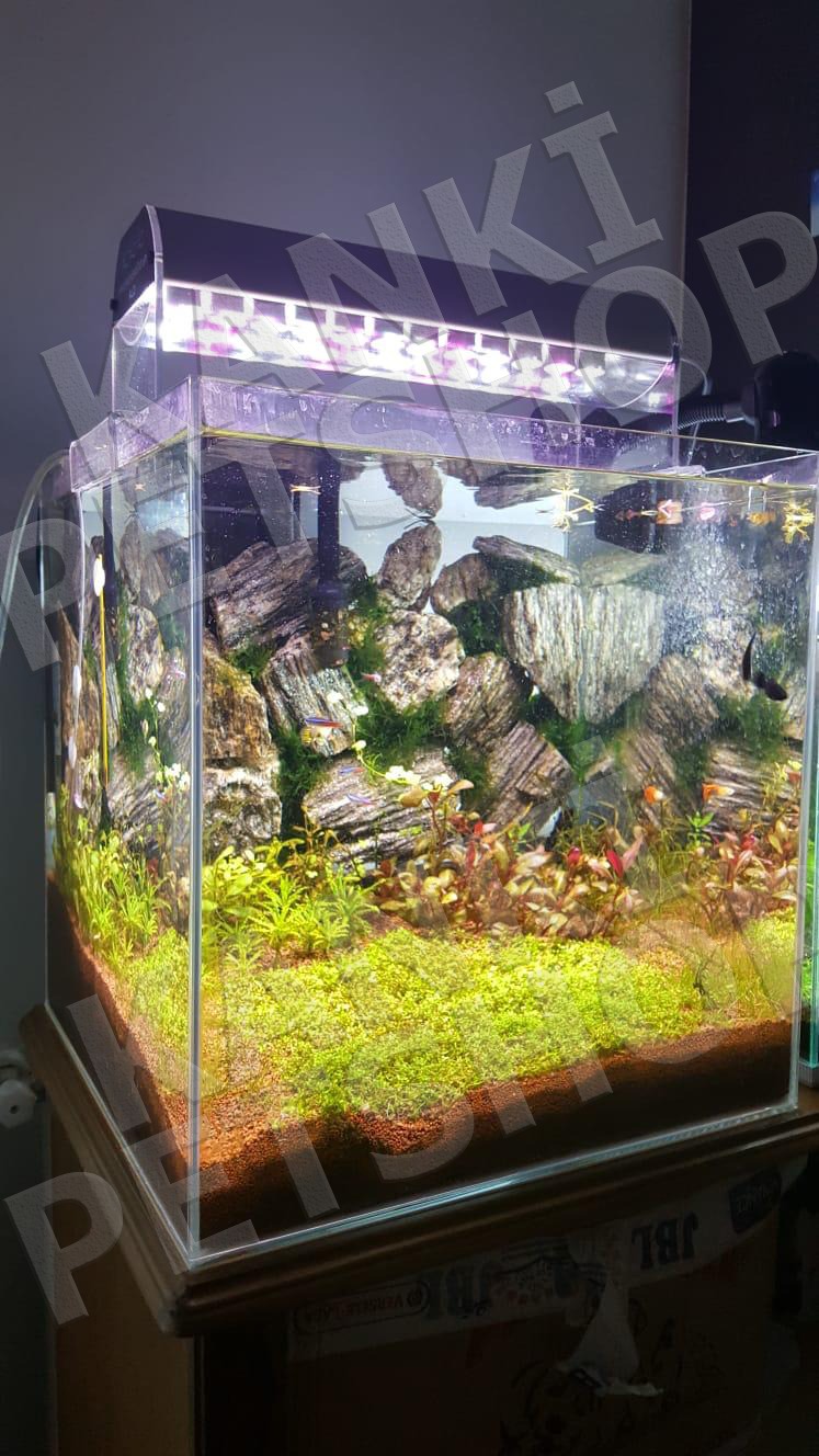 Kanki%20Pet%2060%20Cm%20Power%20Led%20Bitki%20Armatürü%206500%20Kelvin%2033%20W