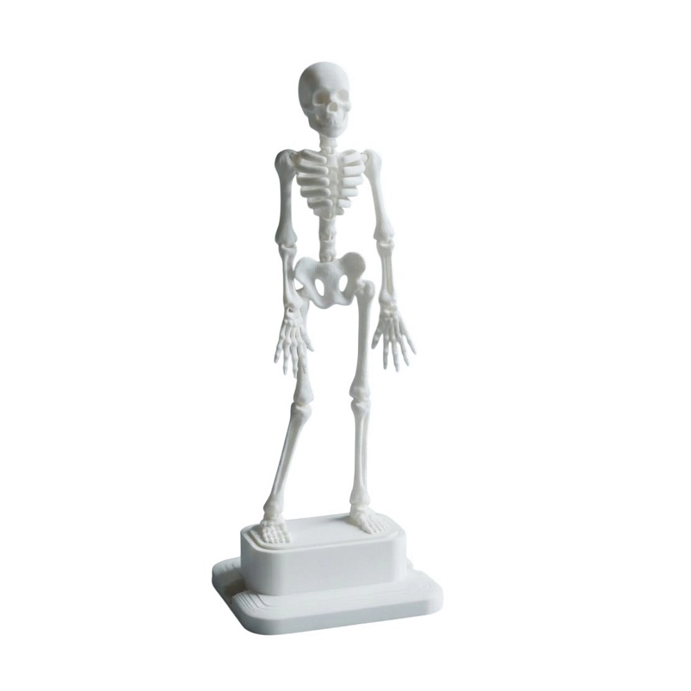 3D%20Baskı%20Dans%20Eden%20İskelet%20Akvaryum%20Hava%20Taşı%2018,5%20cm