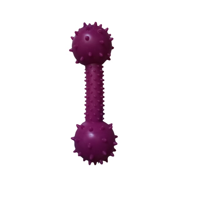 Plastik%20Kaval%20Kemik%20Toplu%20Köpek%20Oyuncağı%20Diş%20Kaşıyıcı%20Mor%2015x5%20cm