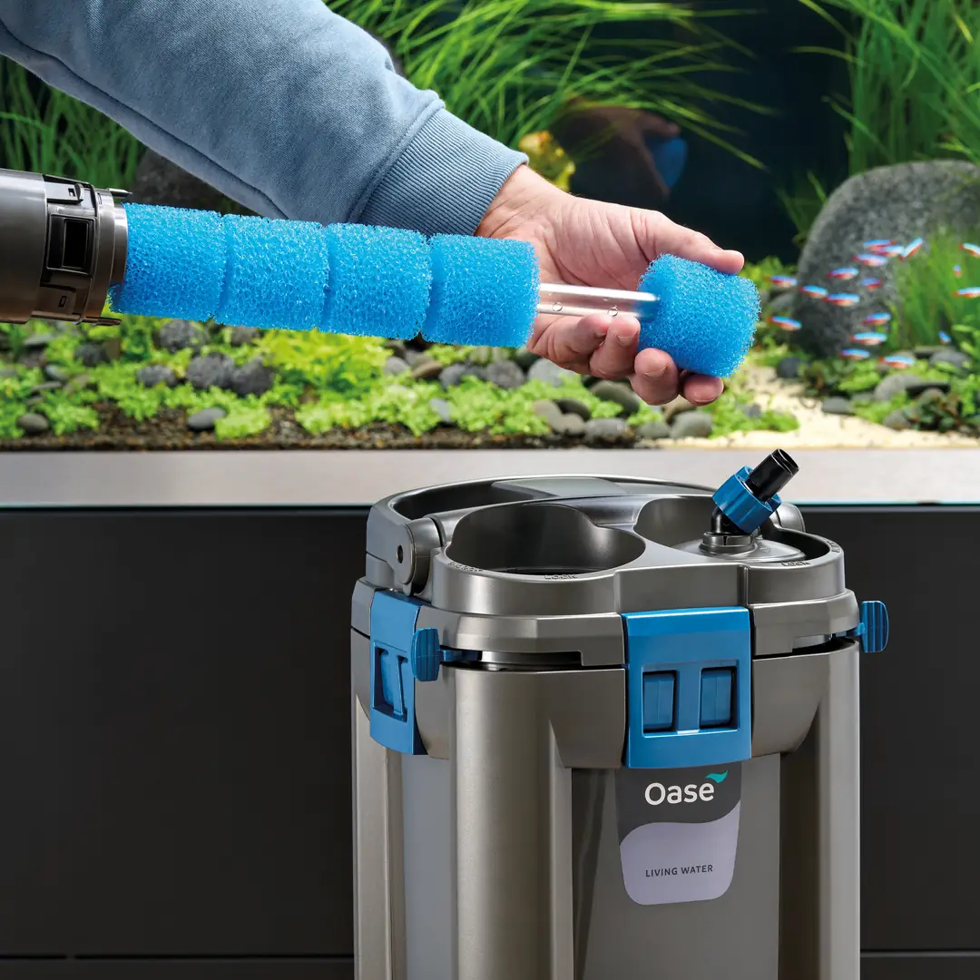 Oase%20BioMaster%20Ön%20Filtre%20Sünger%20Seti%204%20lü%2045%20ppi%20Orijinal%20Yedek%20Filtre%20Süngeri