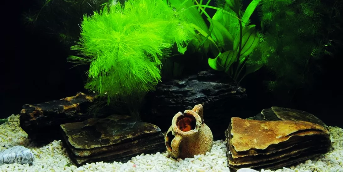 Kanki Pet KP1256333 Akvaryum Arka Fon Yapıştırma 125 x 63 CM