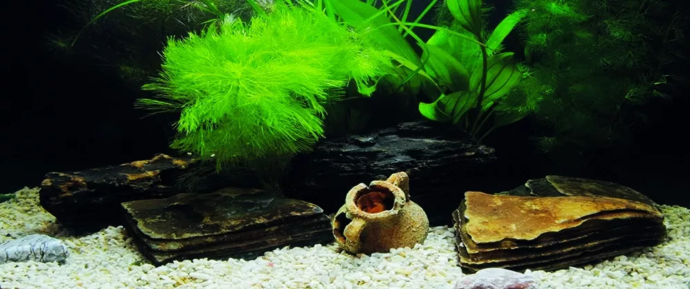 Kanki Pet KP1556533 Akvaryum Arka Fon Yapıştırma 155 x 65 CM