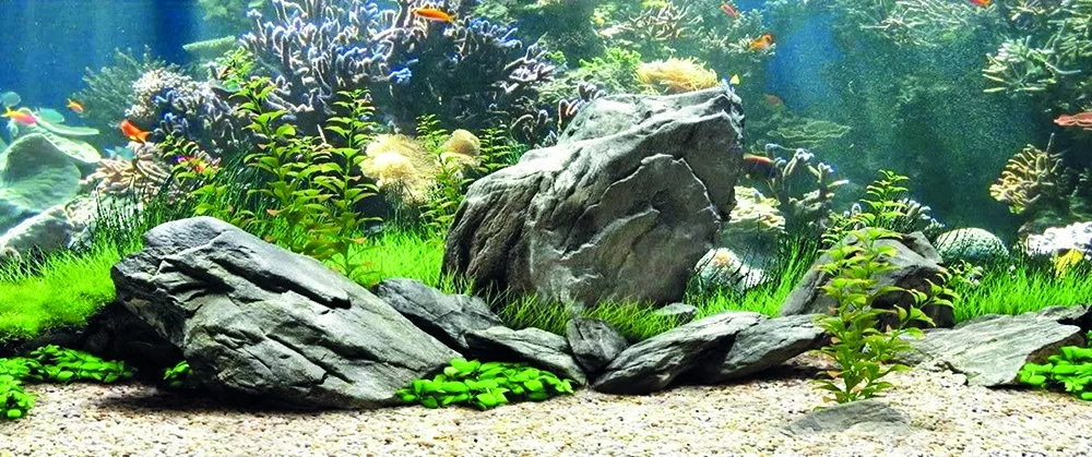 Kanki Pet KP1556534 Akvaryum Arka Fon Yapıştırma 155 x 65 CM