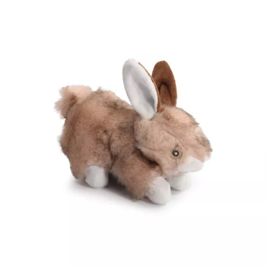 Camon Pelüş Tavşan Köpek Oyuncağı 23 Cm