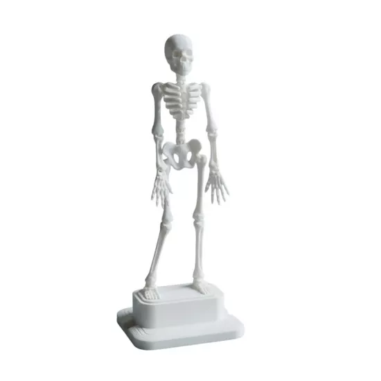 Dans Eden İskelet Akvaryum Hava Taşı 18,5 cm | 3D Akvaryum Dekoru