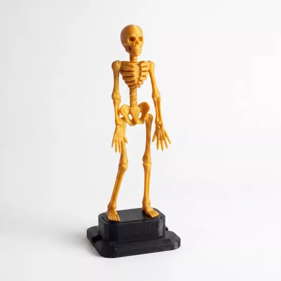 Gold Dans Eden İskelet Akvaryum Hava Taşı 18,5 cm | 3D Akvaryum Dekoru