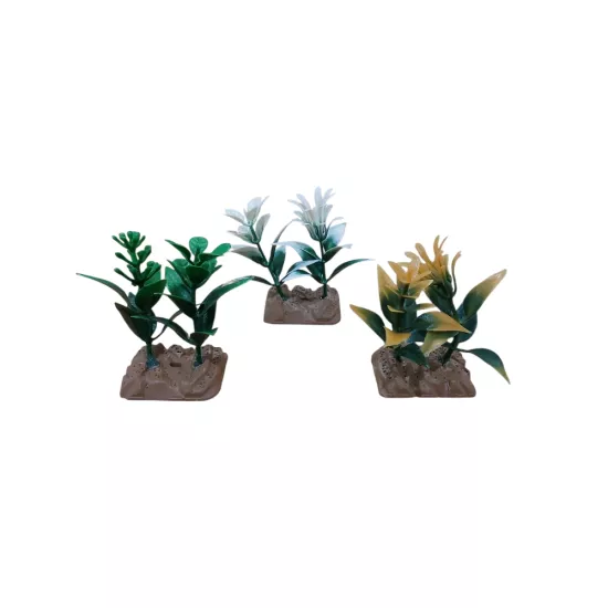 Kardelya Karışık Renk 3 Lü paket