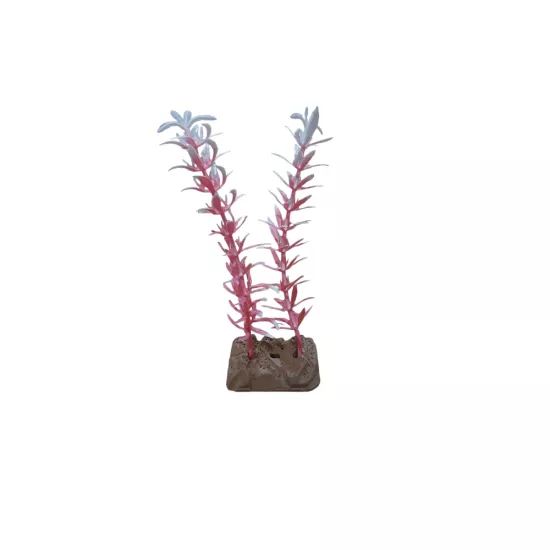 Kedi Tırnağı Pembe Beyaz 14 cm