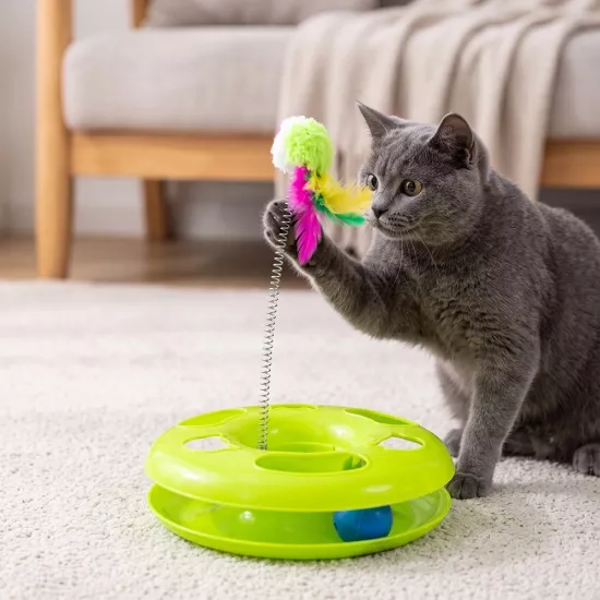 Ödül Maması Hazneli Çember Kedi Oyuncağı - Yaylı