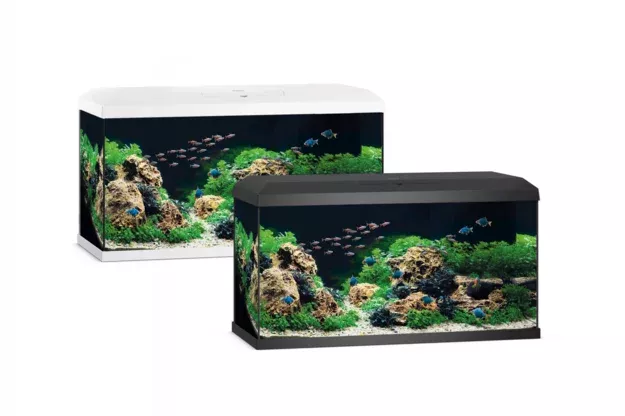 Juwel Primo 110 2.0 Beyaz Akvaryum Komple Set 110 L | 81x36x45