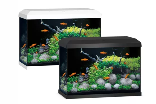 Juwel Primo 70 2.0 Komple Set Akvaryum Siyah 70 Lt (61x31x44 cm)