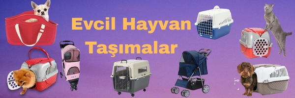 Evcil_Hayvan_Tasimalar